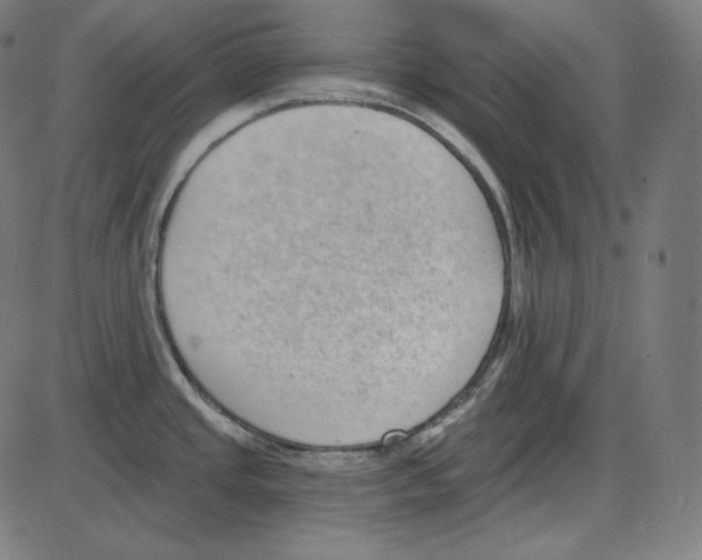 X0000084041437200703161820