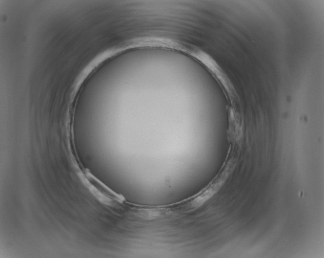 X0000084041438200703161820