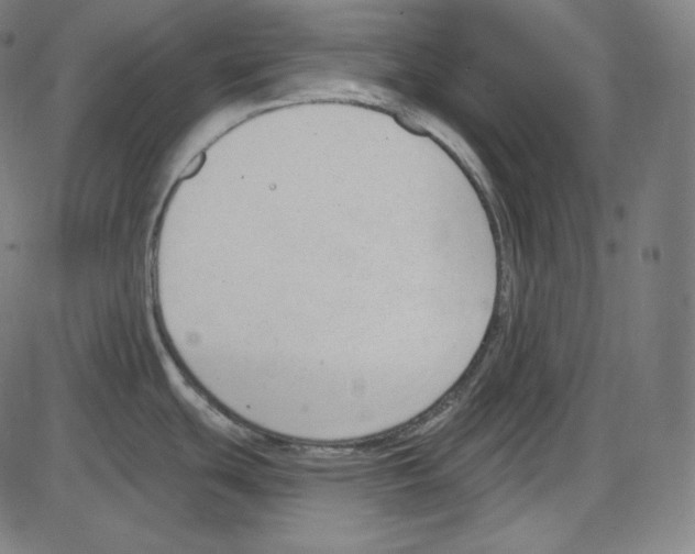 X0000084041439200703161820