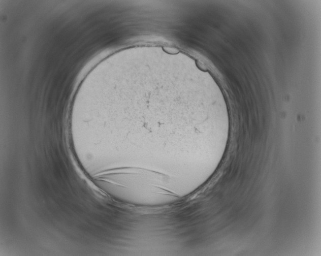 X0000084041440200703161820