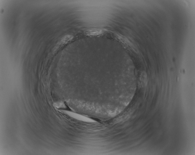 X0000084041441200703161819