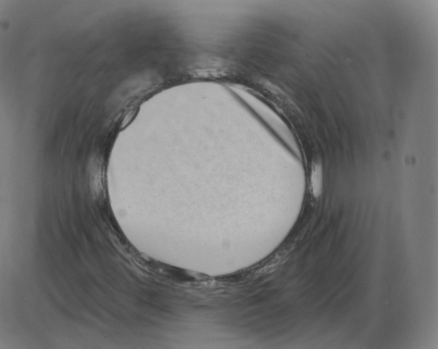 X0000084041444200703161819