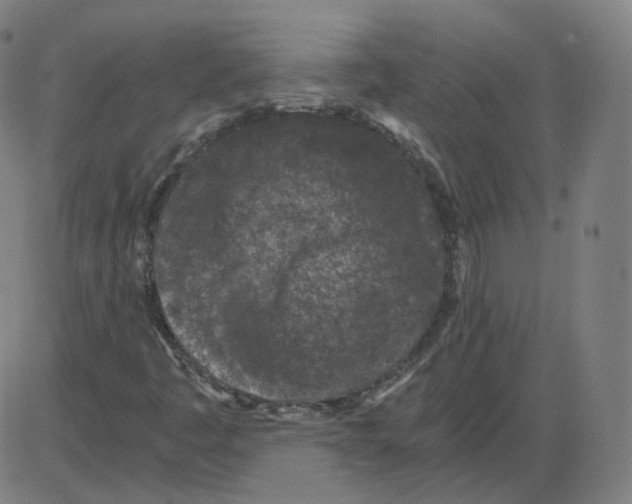 X0000084041445200703161819