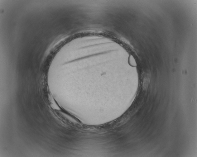 X0000084041448200703161819