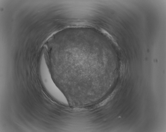 X0000084041449200703161819