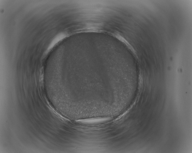 X0000084041450200703161819