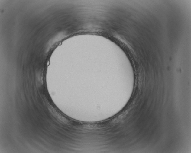 X0000084041451200703161819