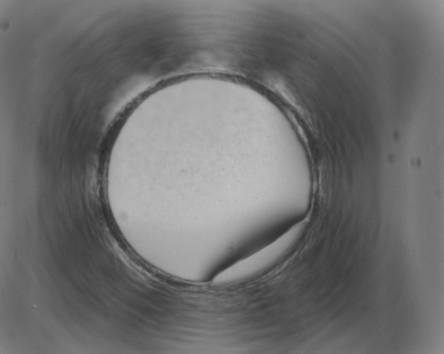 X0000084041452200703161819