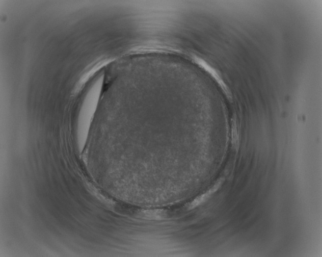 X0000084041453200703161819