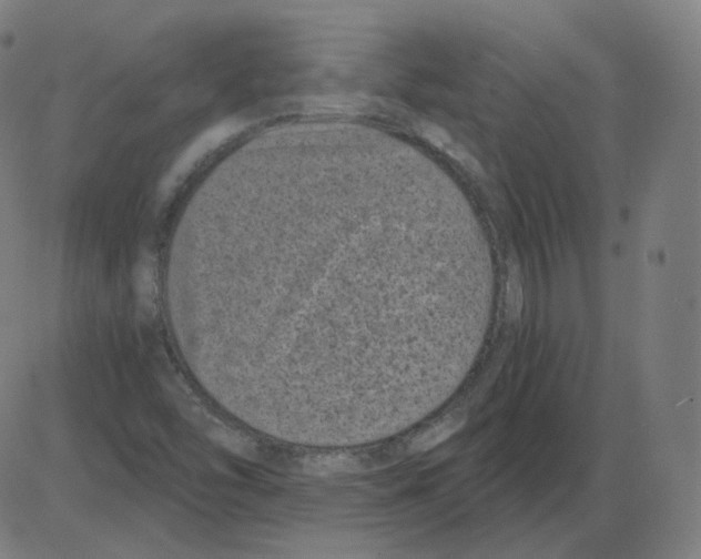 X0000084041454200703161819