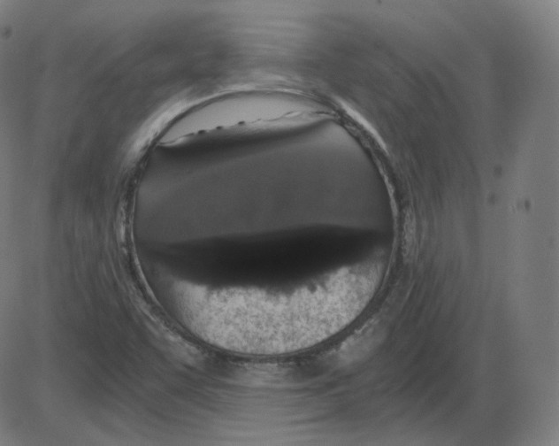 X0000084041455200703161819