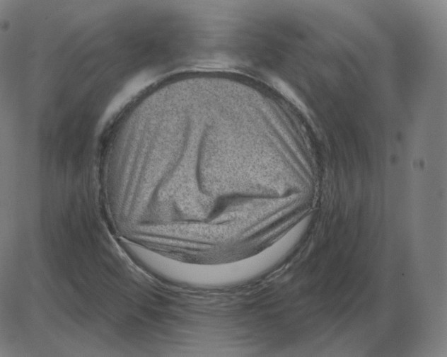 X0000084041456200703161819