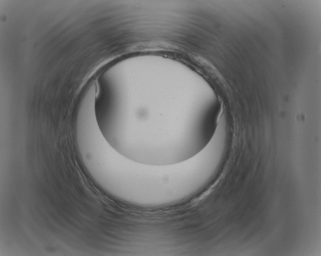 X0000084041457200703161819