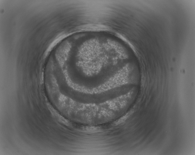 X0000084041459200703161819