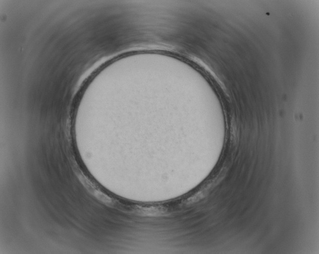 X0000084041460200703161819