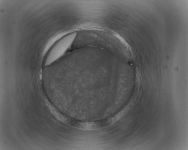 X0000084041461200703161819