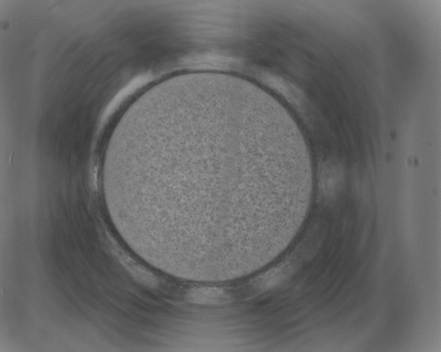 X0000084041462200703161819