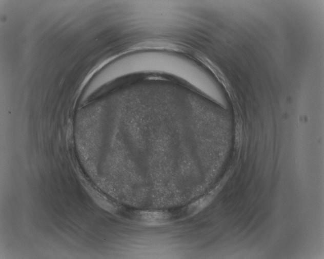 X0000084041465200703161819