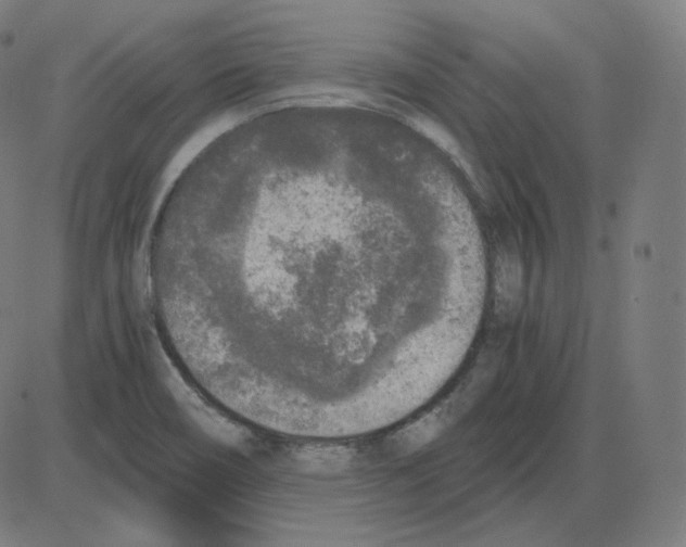 X0000084041466200703161819