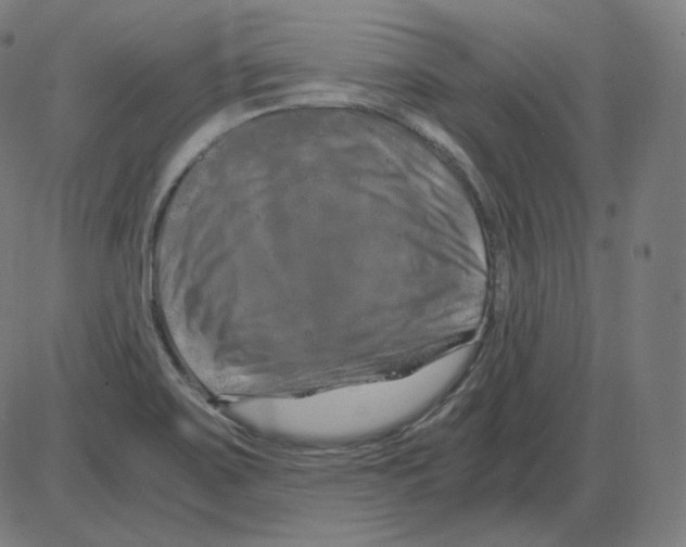 X0000084041467200703161819