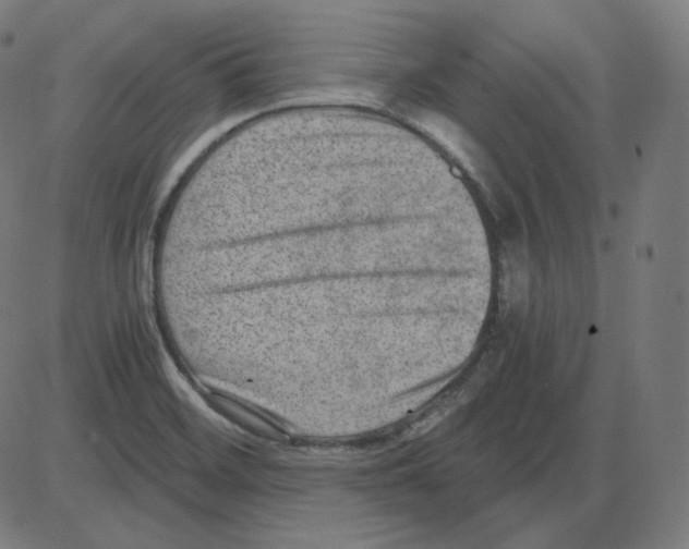 X0000084041468200703161819