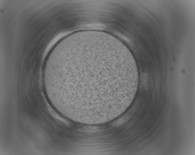 X0000084041470200703161819