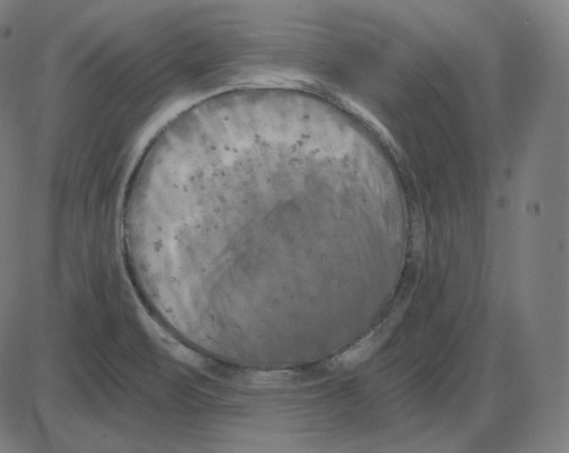 X0000084041471200703161819