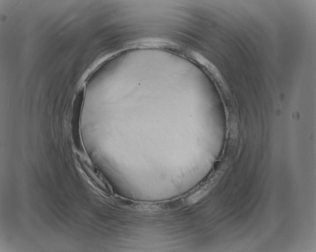 X0000084041473200703161819