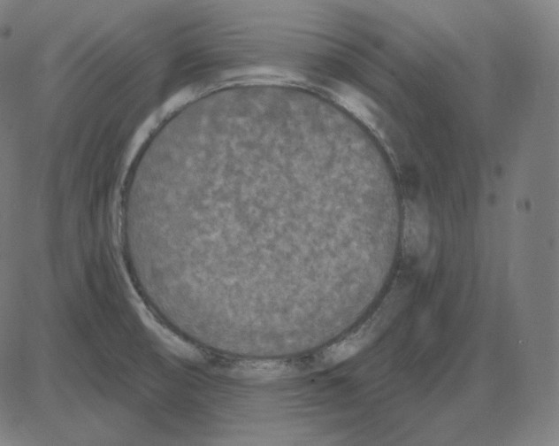 X0000084041474200703161819