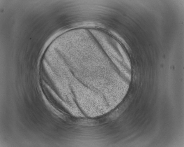 X0000084041475200703161819