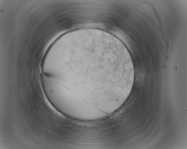 X0000084041476200703161819