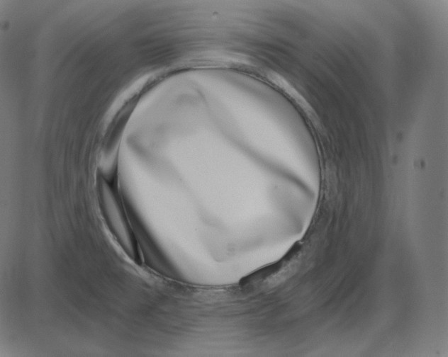 X0000084041477200703161818