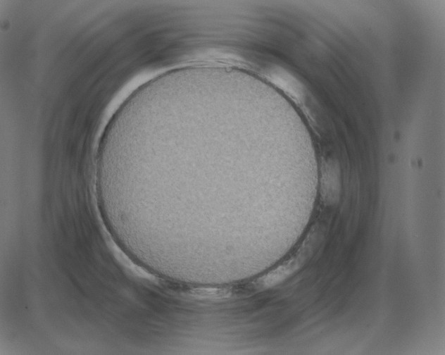 X0000084041478200703161818