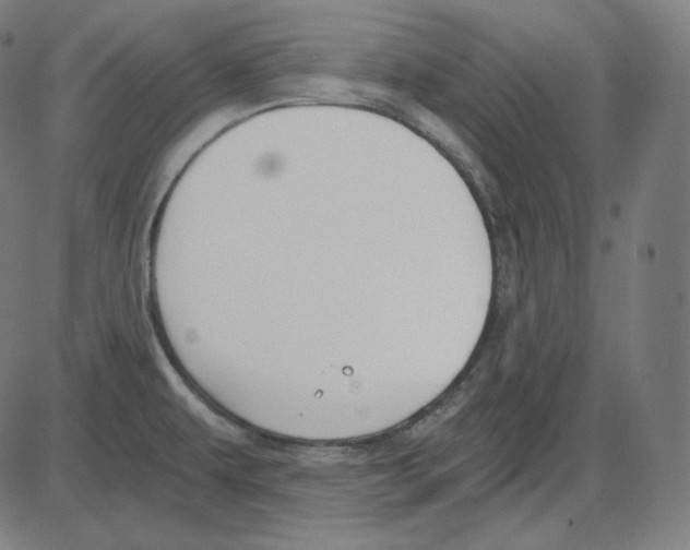 X0000084041479200703161818