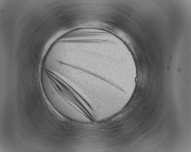 X0000084041480200703161818