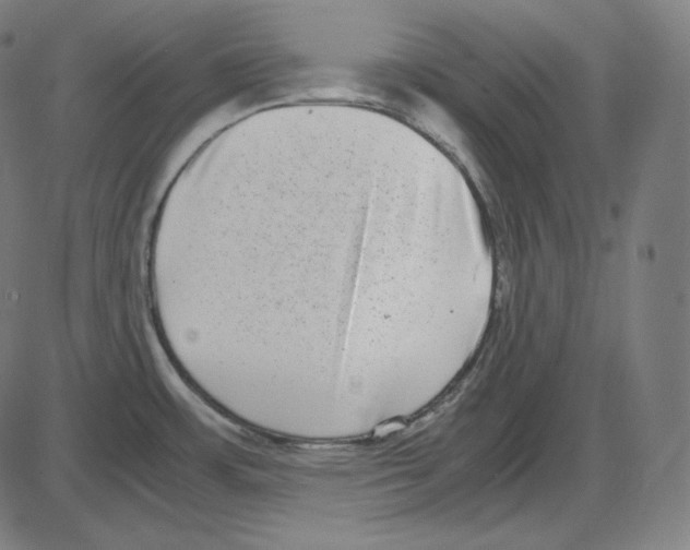 X0000084041483200703161818