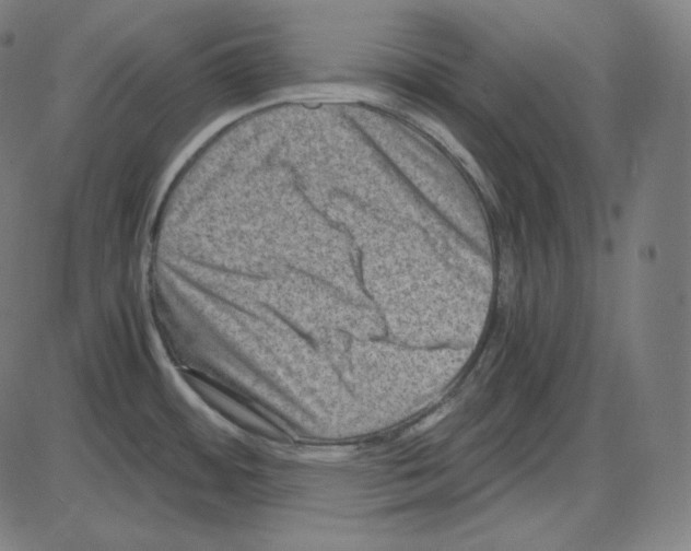 X0000084041484200703161818