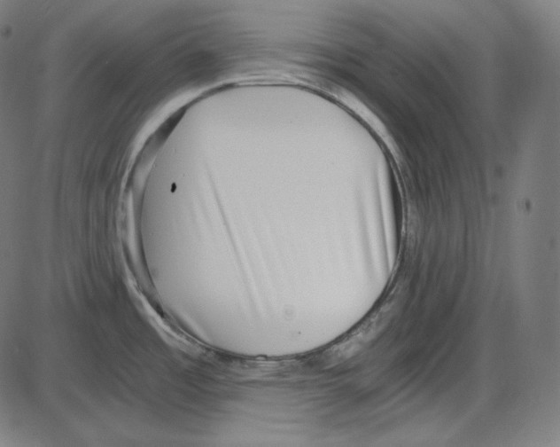 X0000084041485200703161818