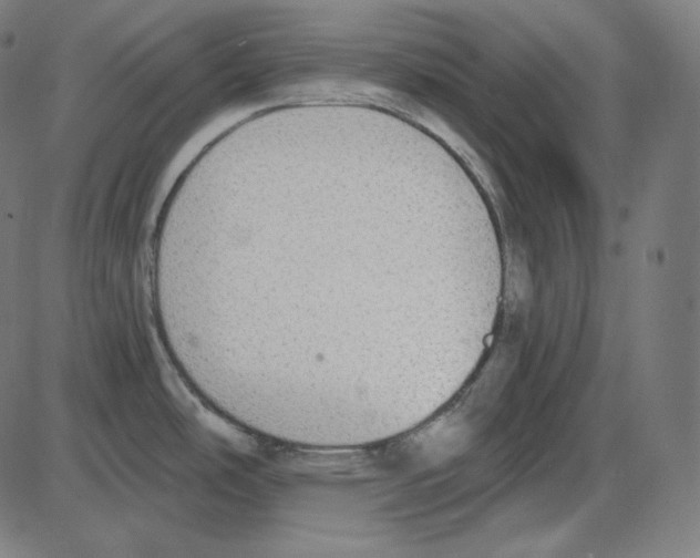 X0000084041486200703161818