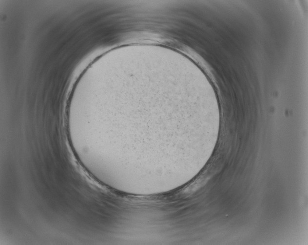 X0000084041488200703161818