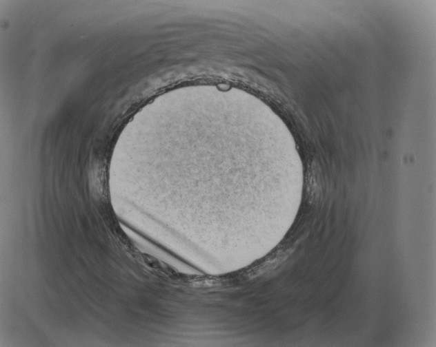 X0000084041490200703161818