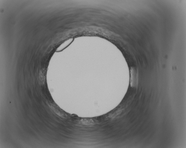 X0000084041491200703161818