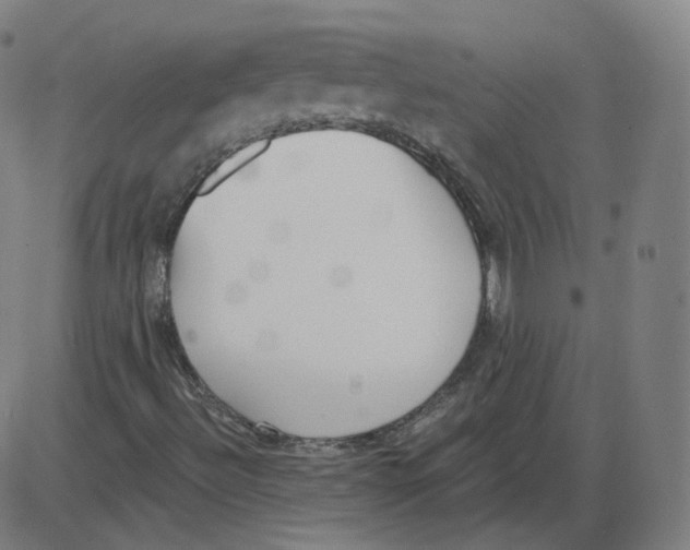 X0000084041492200703161818