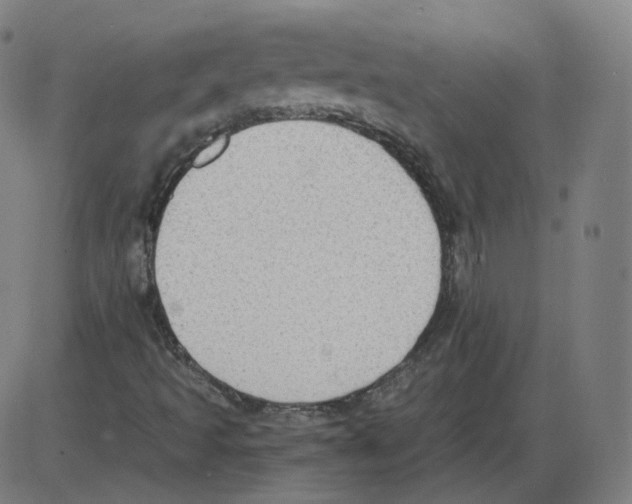 X0000084041493200703161818