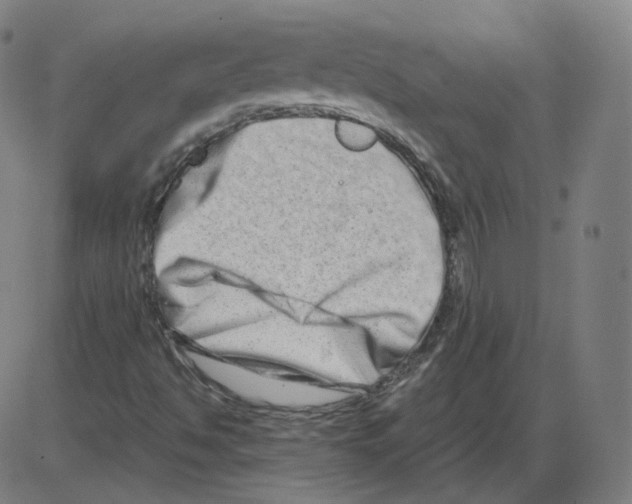 X0000084041494200703161818