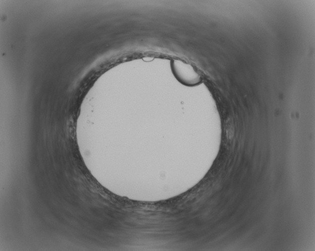 X0000084041495200703161818