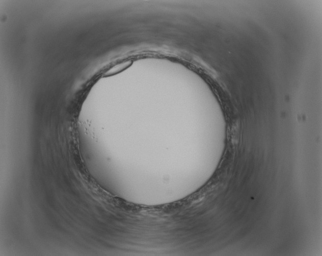 X0000084041496200703161818