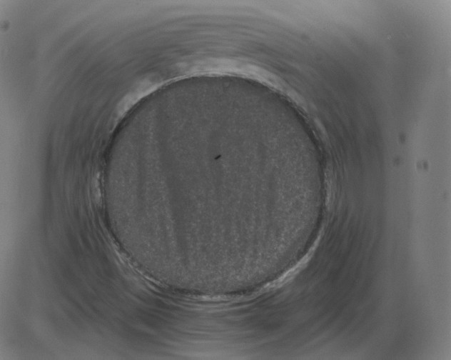 X0000084041497200703161818