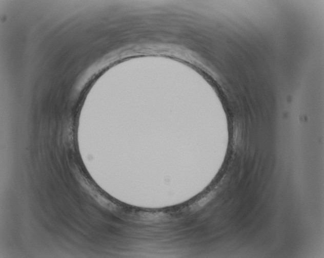 X0000084041498200703161818