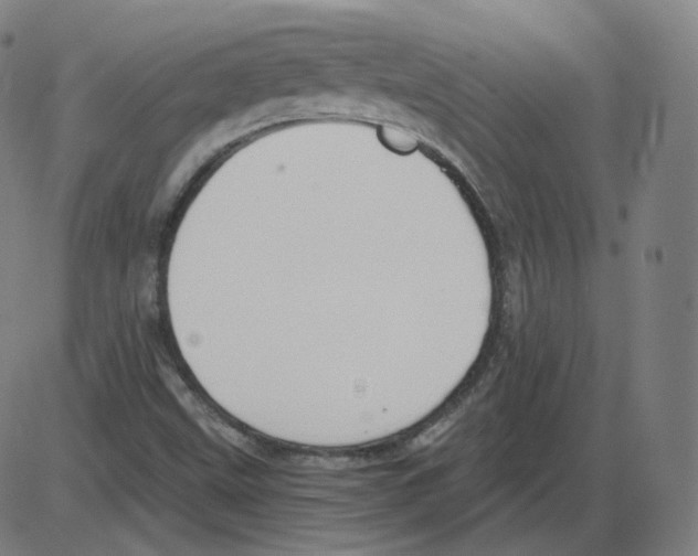 X0000084041499200703161818